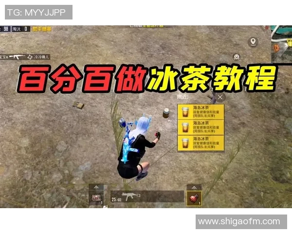 和平精英巨献:深入解析LNG战队的战术布局与团队协作技巧 和平精英巨献:深入解析LNG战队的战术布局与团队协作技巧