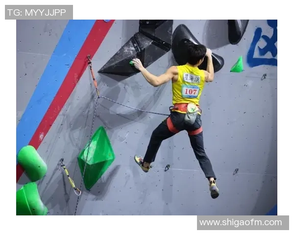 武汉攀岩队荣获全国攀岩比赛经验排行榜第五名的辉煌成就 武汉攀岩队荣获全国攀岩比赛经验排行榜第五名的辉煌成就