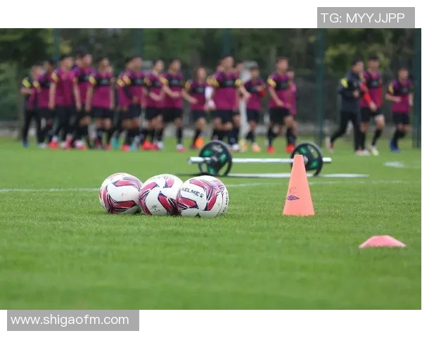 武汉排球队阵地战革新探索与实践的全景分析与展望